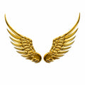 Wings Metal Emblem 1 pair with glu sticker