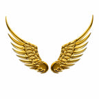 Wings Metal Emblem 1 pair with glu sticker
