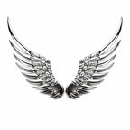 Wings Metal Emblem 1 pair with glu sticker